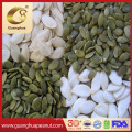 Hot Sale Shine Skin Pumpkin Seed Kernel New Crop